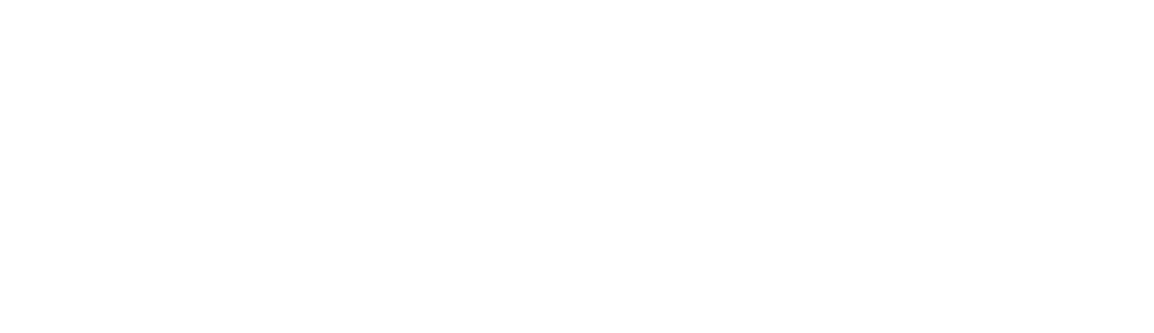 LSNS Logo